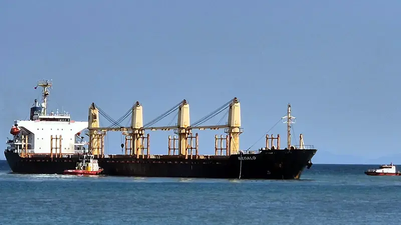 Tekirdağ açıklarında kuru yük gemisi karaya oturdu