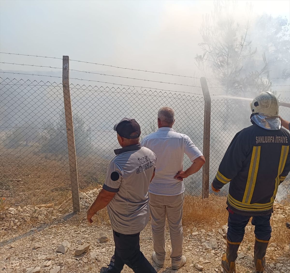 Şanlıurfa'da ağaçlık alanda çıkan yangın söndürüldü