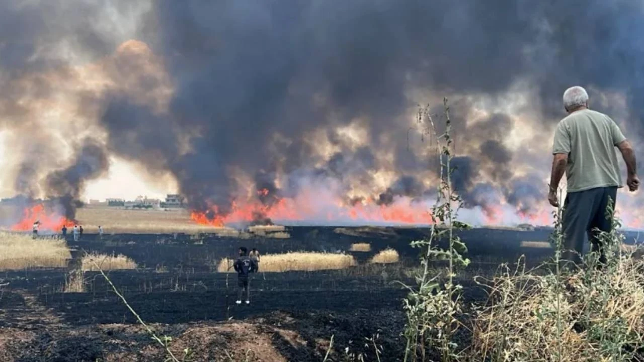 Kuzey ve Doğu Suriye'de tarım alanları alevlere teslim: 33 bin dönüm arazi yandı