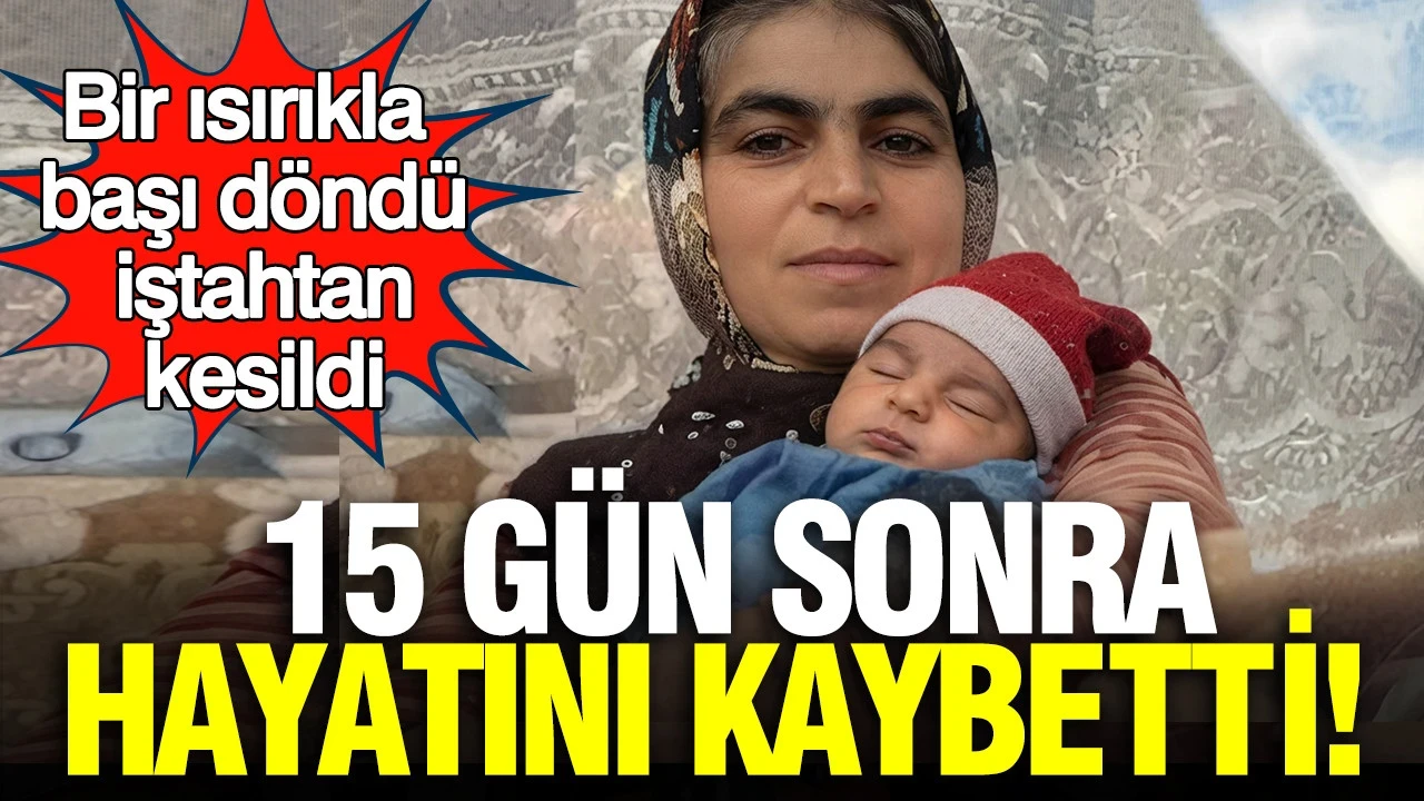 Bir ısırıkla başı döndü iştahtan kesildi: 15 gün sonra hayatını kaybetti