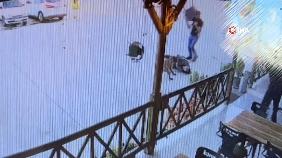 Başıboş Köpek Kadına Saldırdı: Kolundan Kopma Oldu