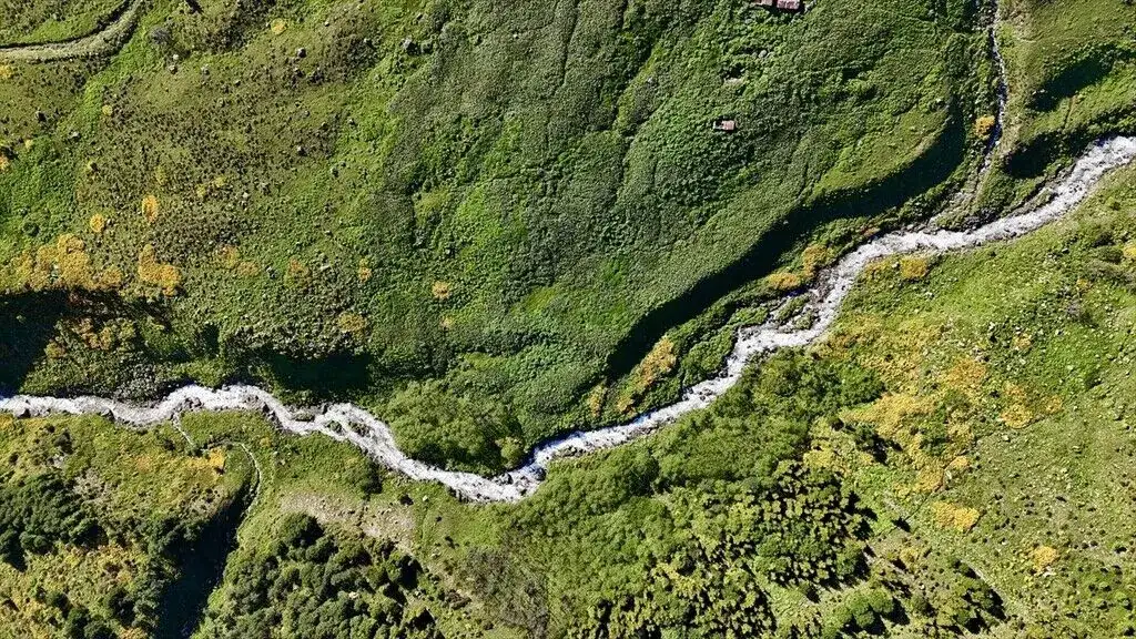 Kaçkar Dağları eteklerindeki yaylalar çiçeklerle bezendi