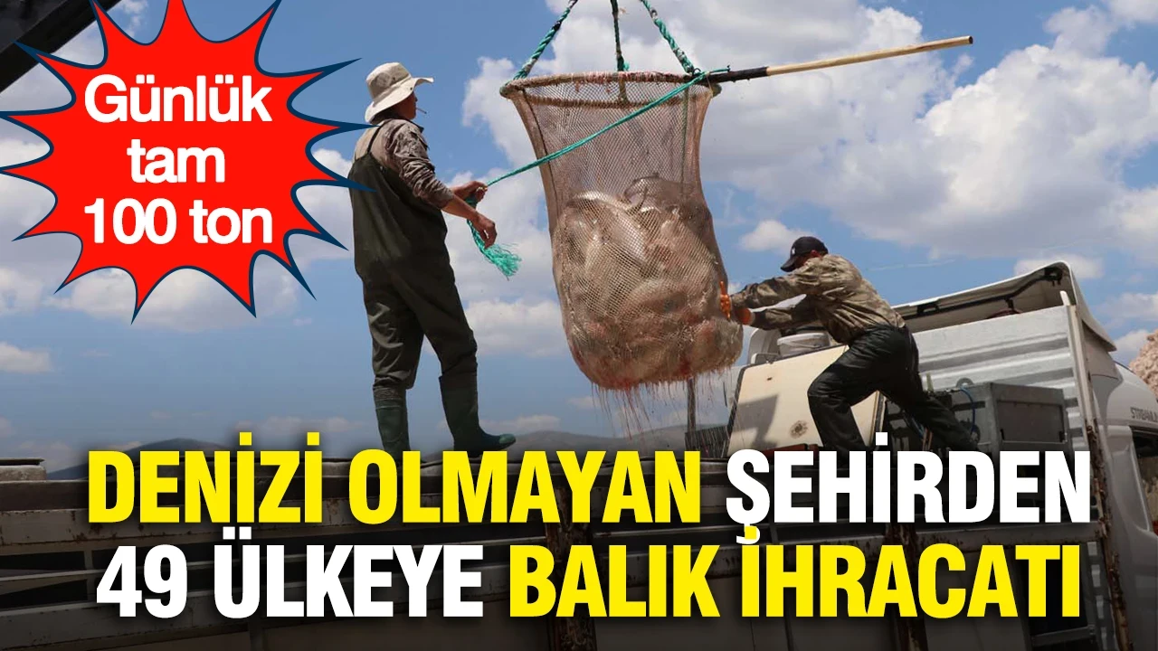 Denizi olmayan şehirden 49 ülkeye balık ihracatı: Günlük tam 100 ton