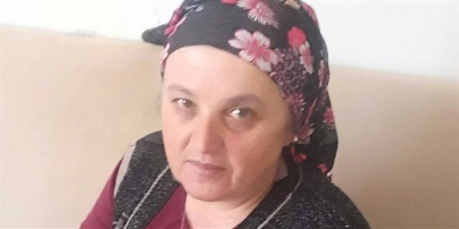 Eşek arısı sokan kadın hayatını kaybetti