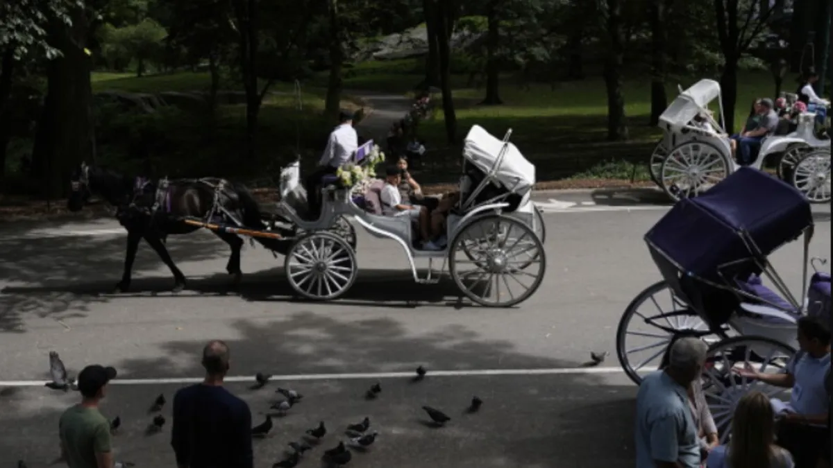 New York'taki Central Park'ta fayton kazası! 18 yaşında bir kişi öldü