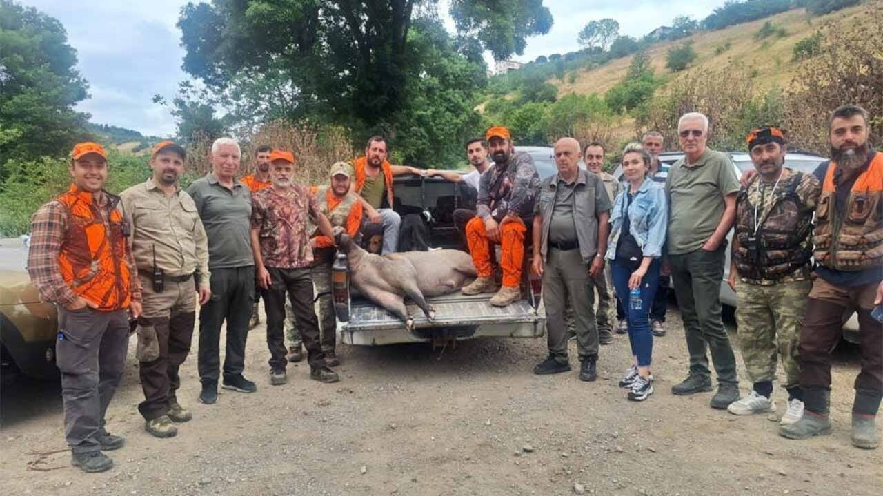 Fındık düşmanı yaban domuzuna avcılar dur dedi