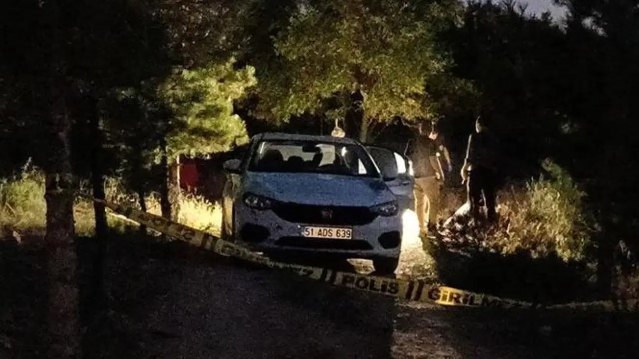 Ormanda bir kişiyi yaraladı, kaçarken tır çarptı