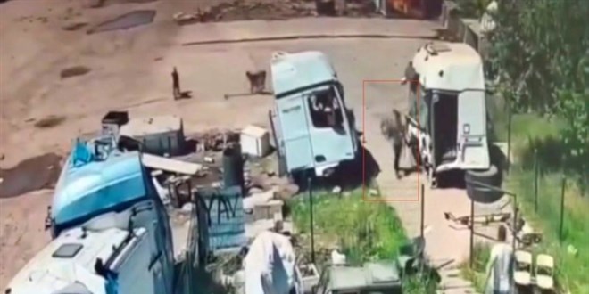 Şırnak'ta başıboş köpek yaşlı adama saldırdı