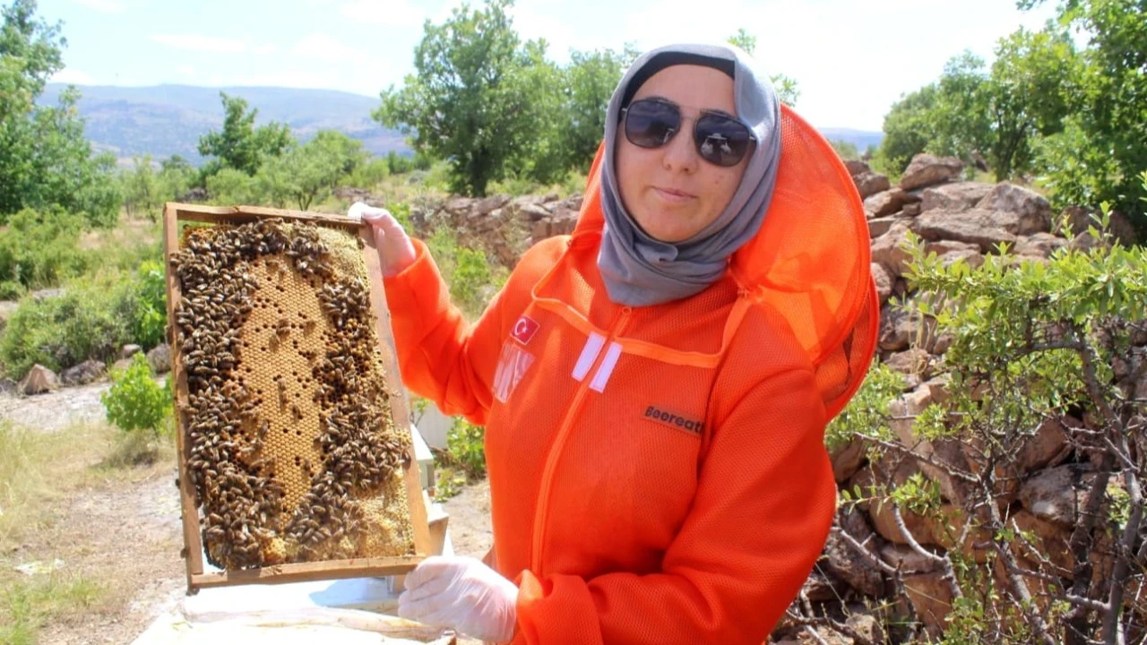 Kalp krizi ve kanseri yendi, şifayı arılarda buldu! Şimdi hedefi 500 kovan