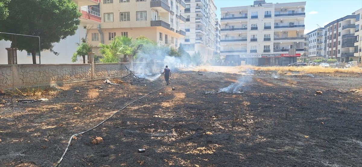 Mardin'de çıkan ot yangını söndürüldü