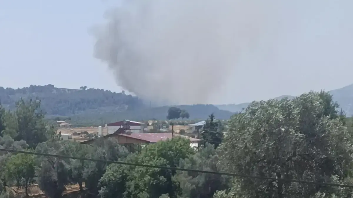 Muğla'da yangın: Alevler ormanlık alana sıçradı