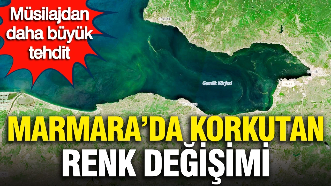 Müsilajdan daha büyük tehdit mi? Marmara’da korkutan renk değişimi