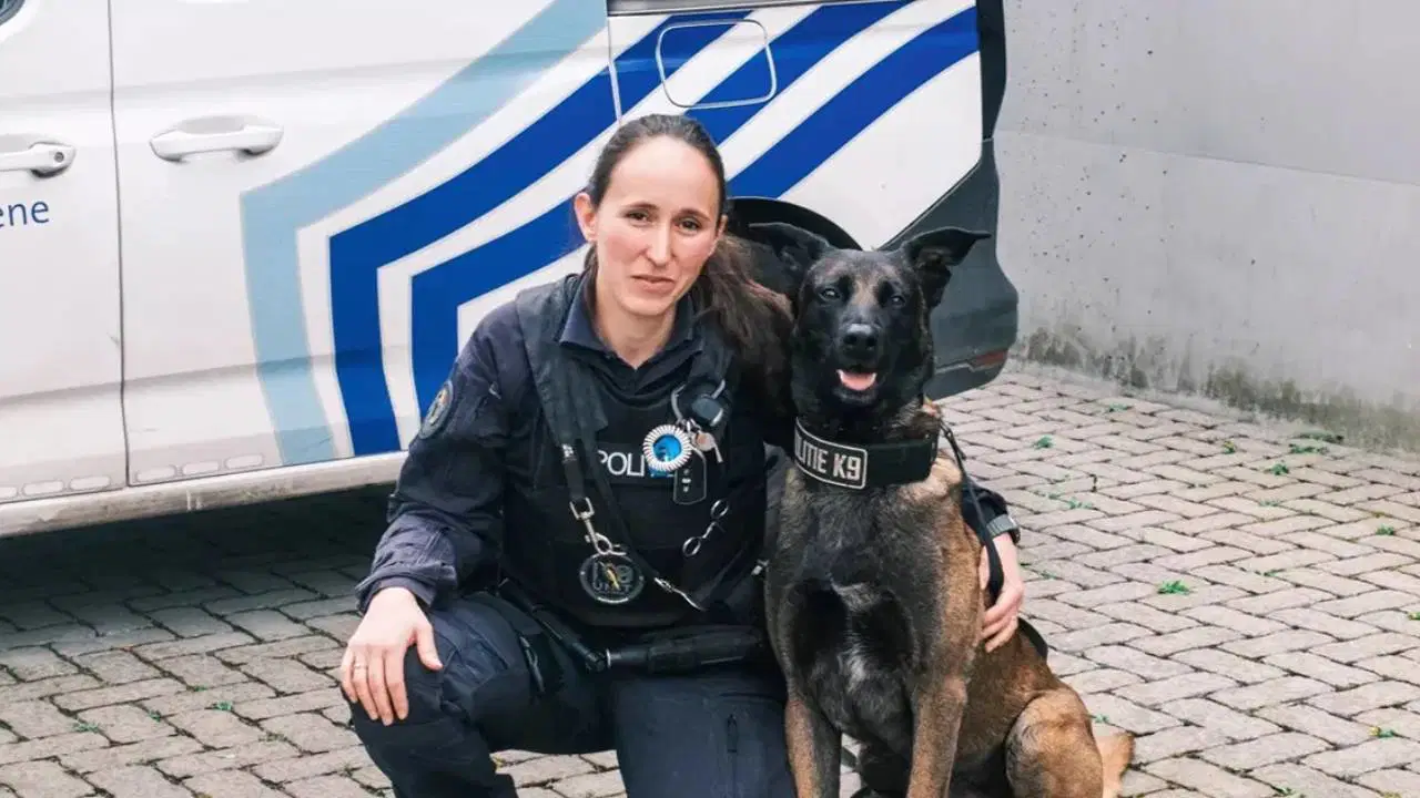 Şamama’ya ördek göğsü filetosu