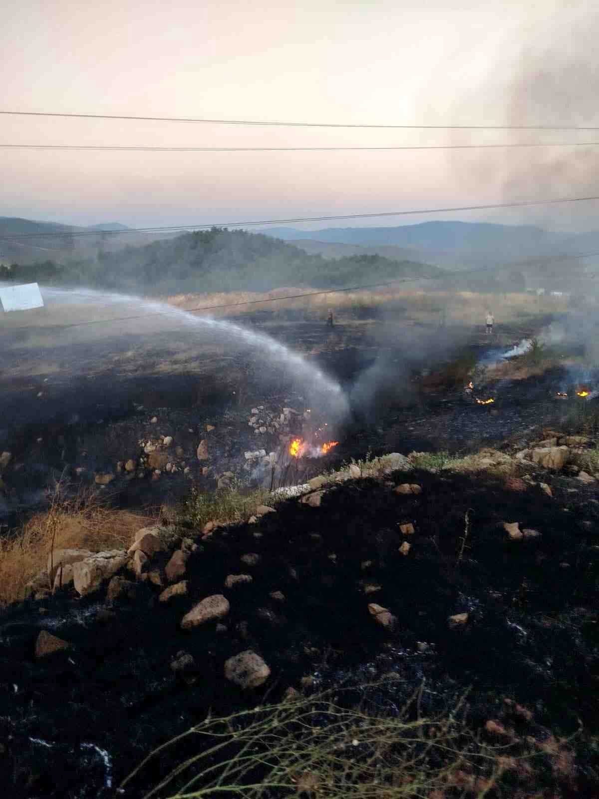 Bilecik'te otluk alanda çıkan yangın paniğe neden oldu