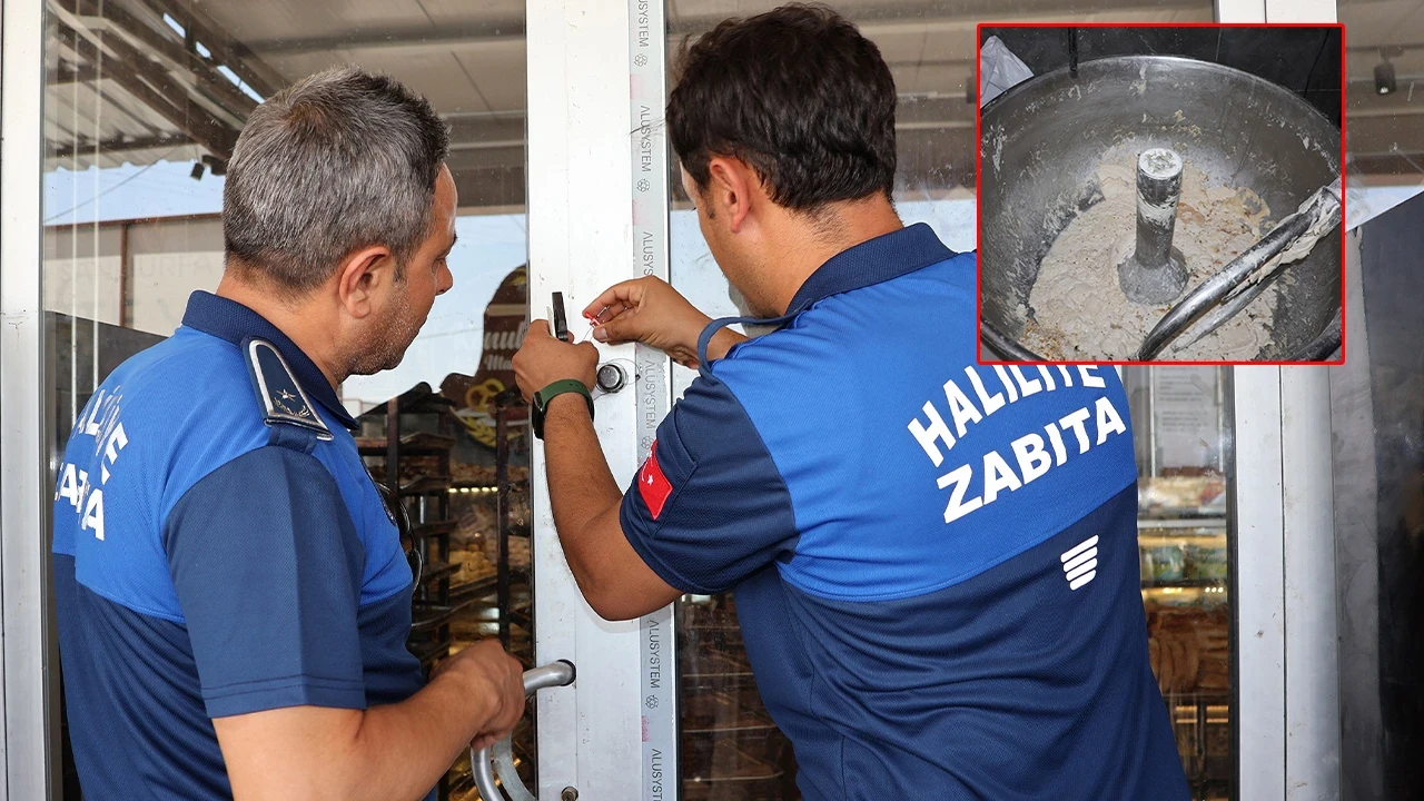 Şanlıurfa’da mide bulandıran görüntüler: Böceklerin cirit attığı işletme mühürlendi