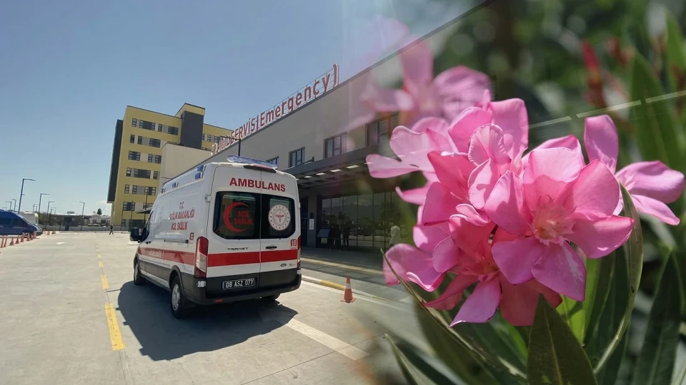 Zakkum Çiçeği Zehirli Midir? Aydın Bozdoğan'da Zakkum Yiyen Vatandaş Yoğun Bakımda | AYDIN YEREL HABERLERİ