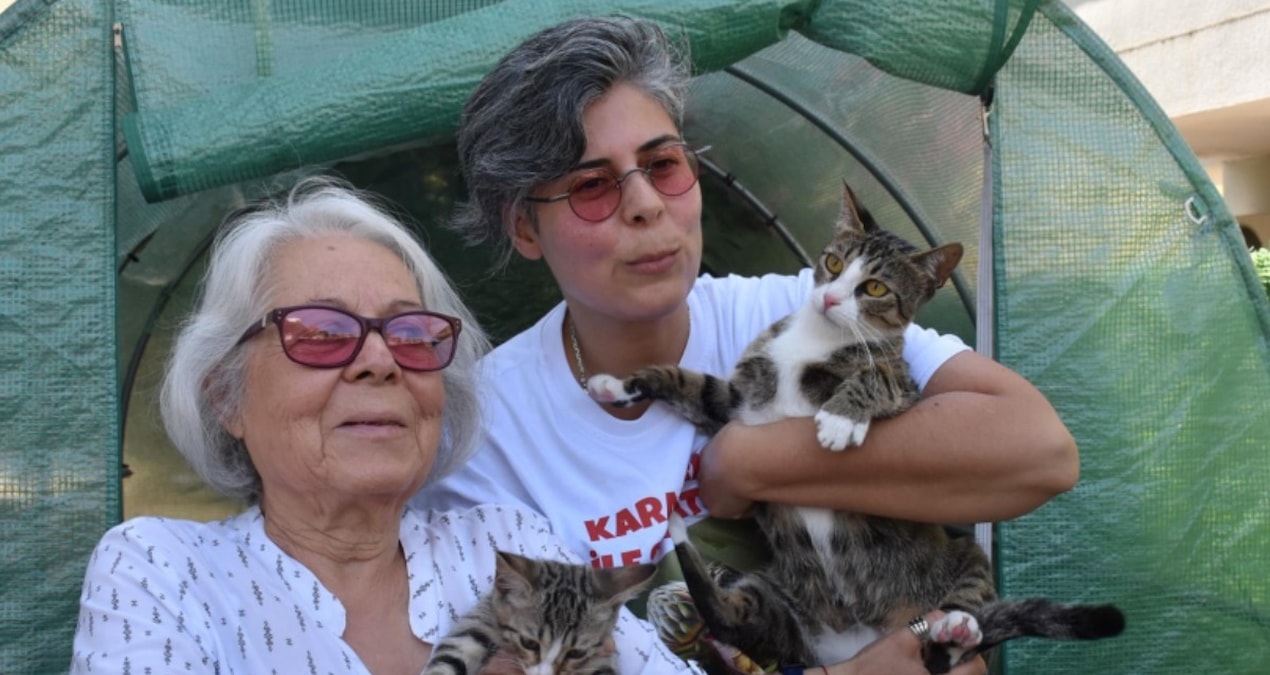 Çift cinsiyetli olduğu doğumda ortaya çıktı