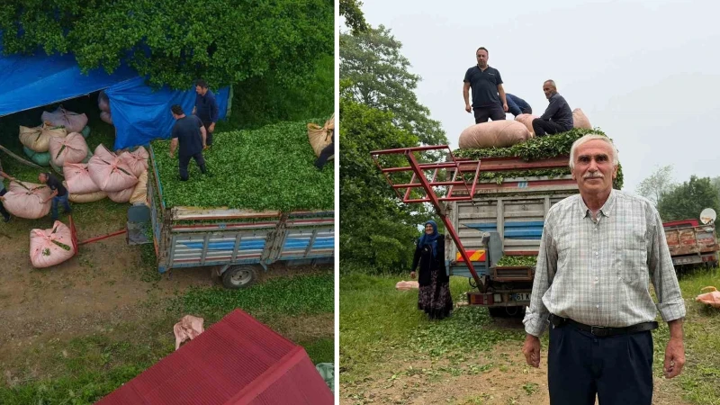 Karadeniz insanı yine zekasını konuşturdu: Mahalle muhtarı geliştirdiği sistemle herkese rahat nefes aldırdı