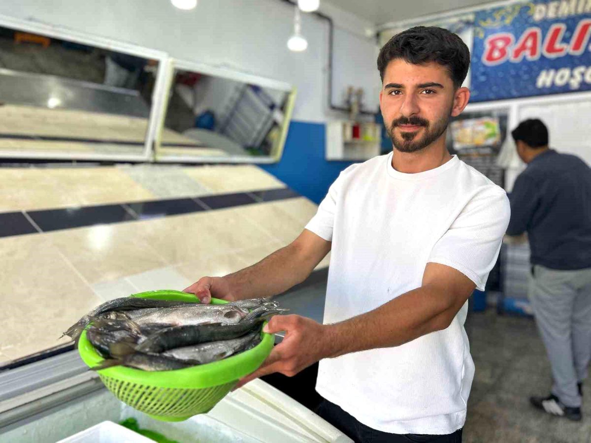 İnci kefali tezgâhlardaki yerini aldı