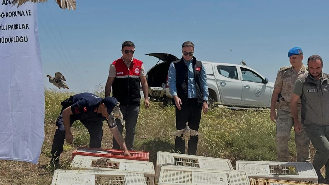 Adıyaman'da 200 tanesi teker teker doğaya bırakıldı
