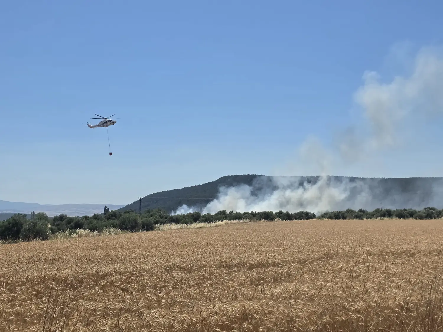 Çanakkale'de korkutan yangın! Havadan ve karadan müdahale başladı