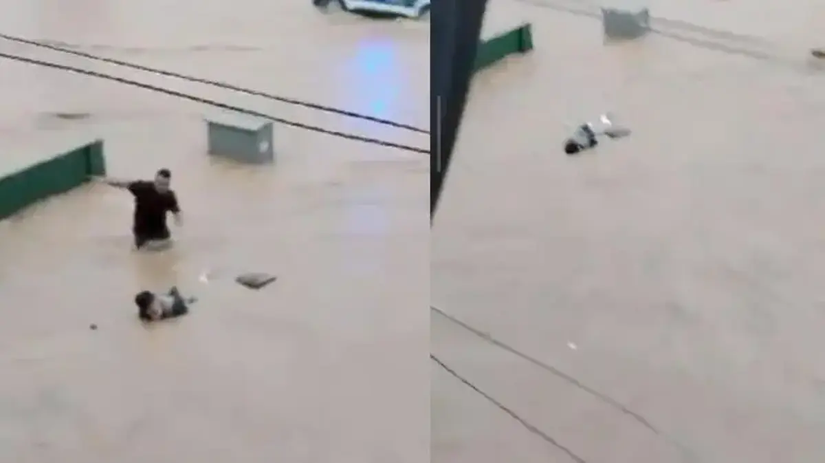 Sel sularına kapılan yaşlı adamı son anda kurtardılar