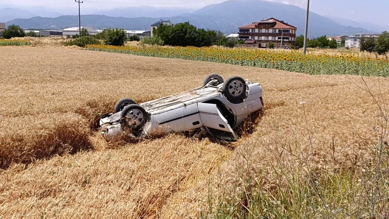 Otomobil buğday tarlasına devrildi: 1 yaralı