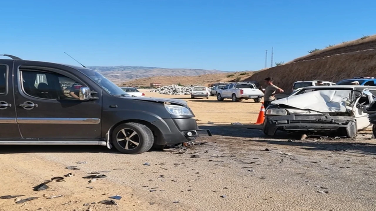 Kırıkkale'de yangından etkilenen 4 kaplumbağayı itfaiye kurtardı