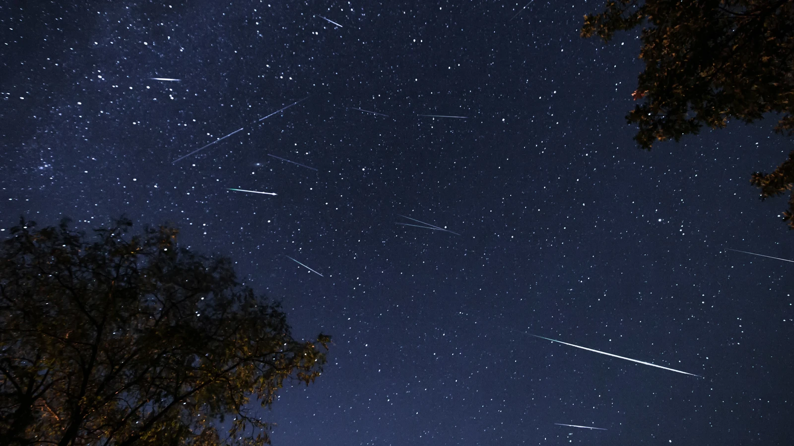 Perseid meteor yağmuru ne zaman gerçekleşecek? Gözünüz gökyüzünde olsun!
