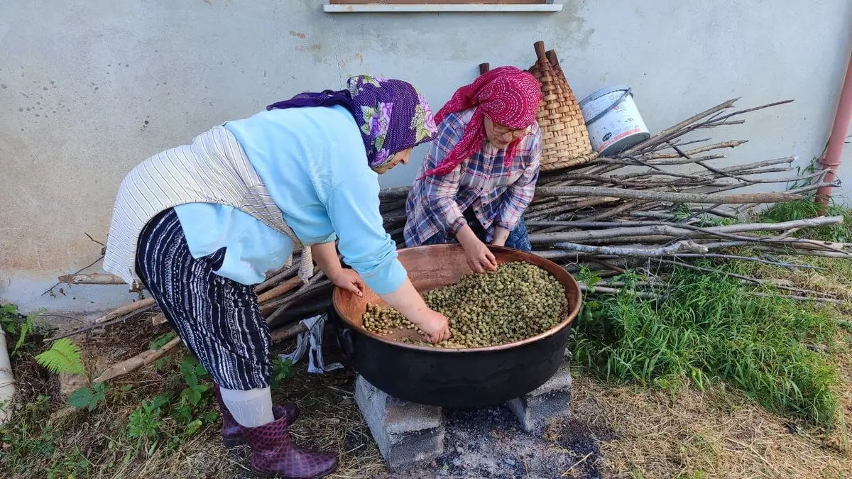 Kazanlar ateşe verildi, doğal şifa için kaynatılıyor