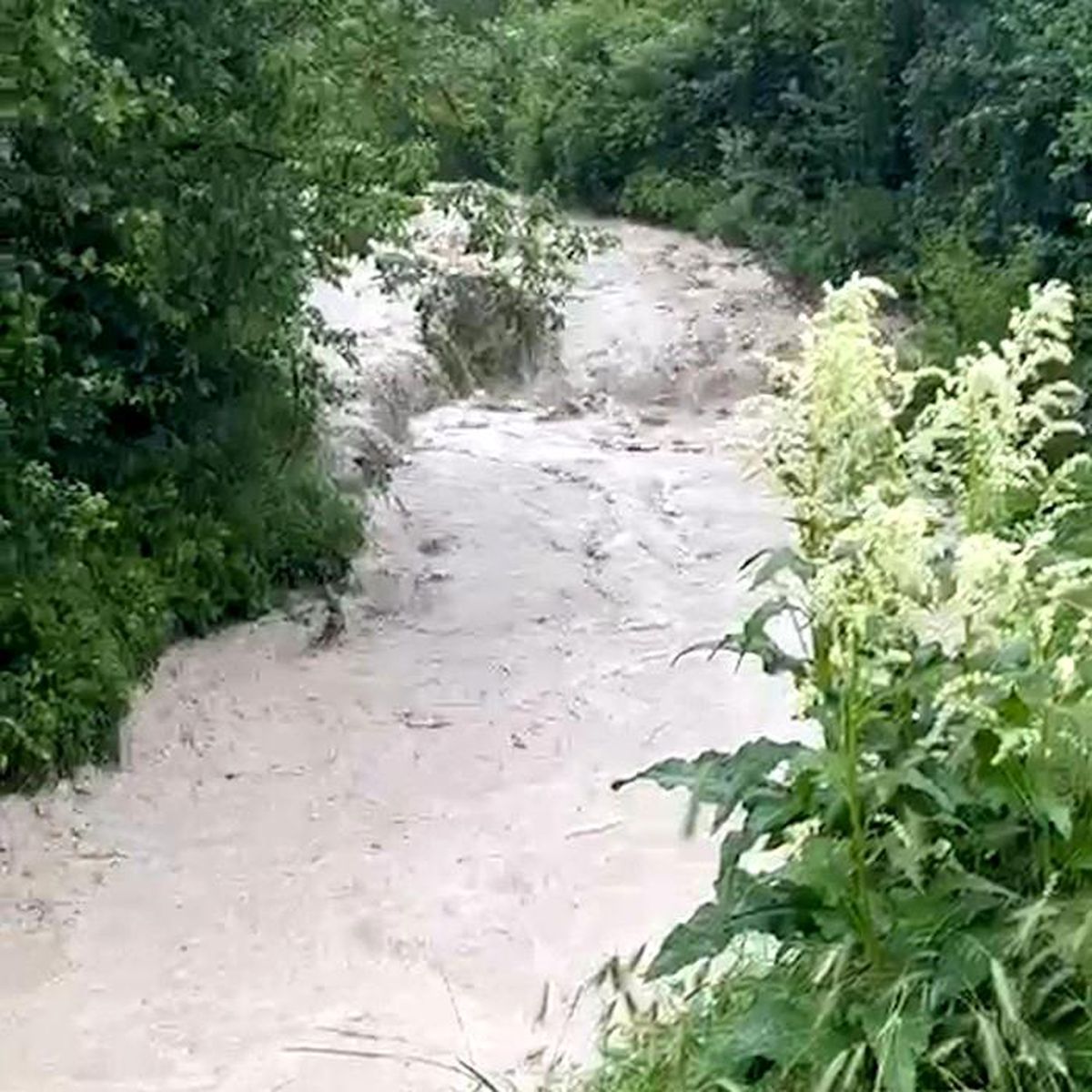 Bolu'da dereler taştı, tarım arazileri sular altında kaldı