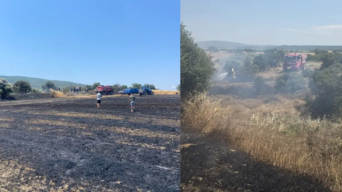 Çanakkale'de çıkan yangın söndürüldü