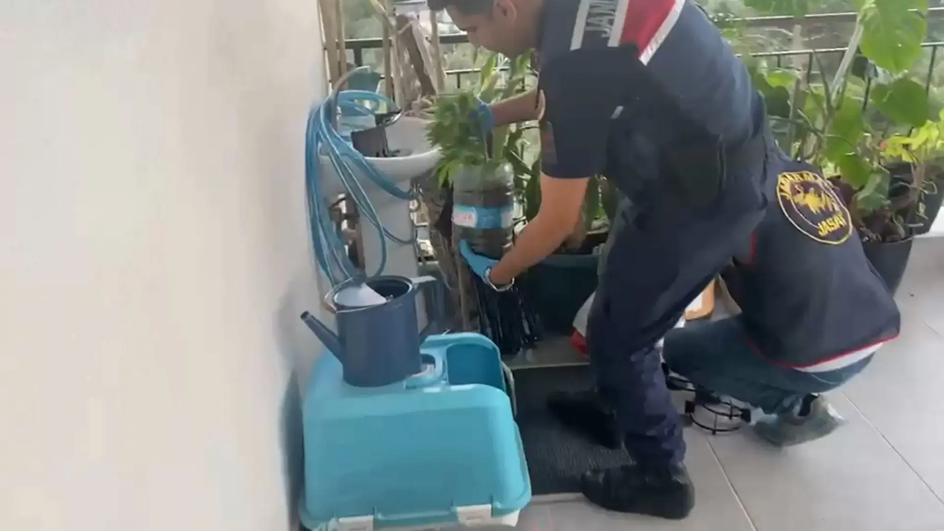 Jandarmadan zehir tacirlerine darbe! 5 ilde 'uyuşturucu' operasyonu: 341 gözaltı
