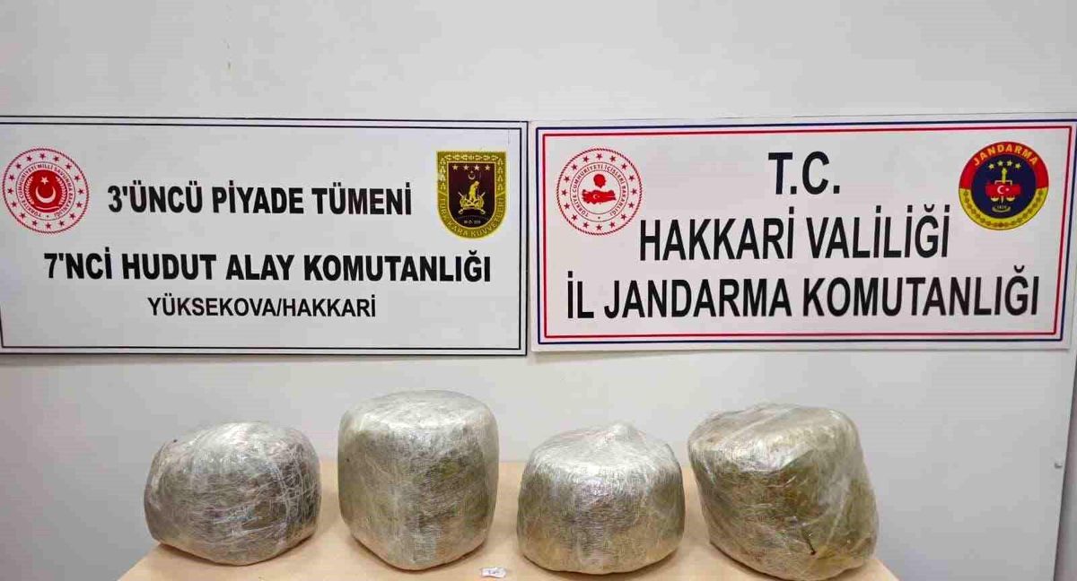Yüksekova'da 11 kilo skunk ele geçirildi