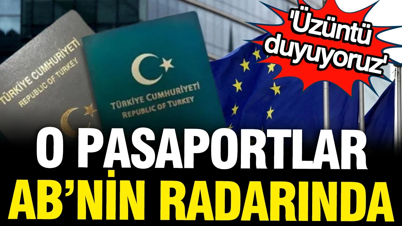 "Bir meslek grubuna daha gri pasaport" dönemi sona mı eriyor? Avrupa Parlamentosu sert çıktı