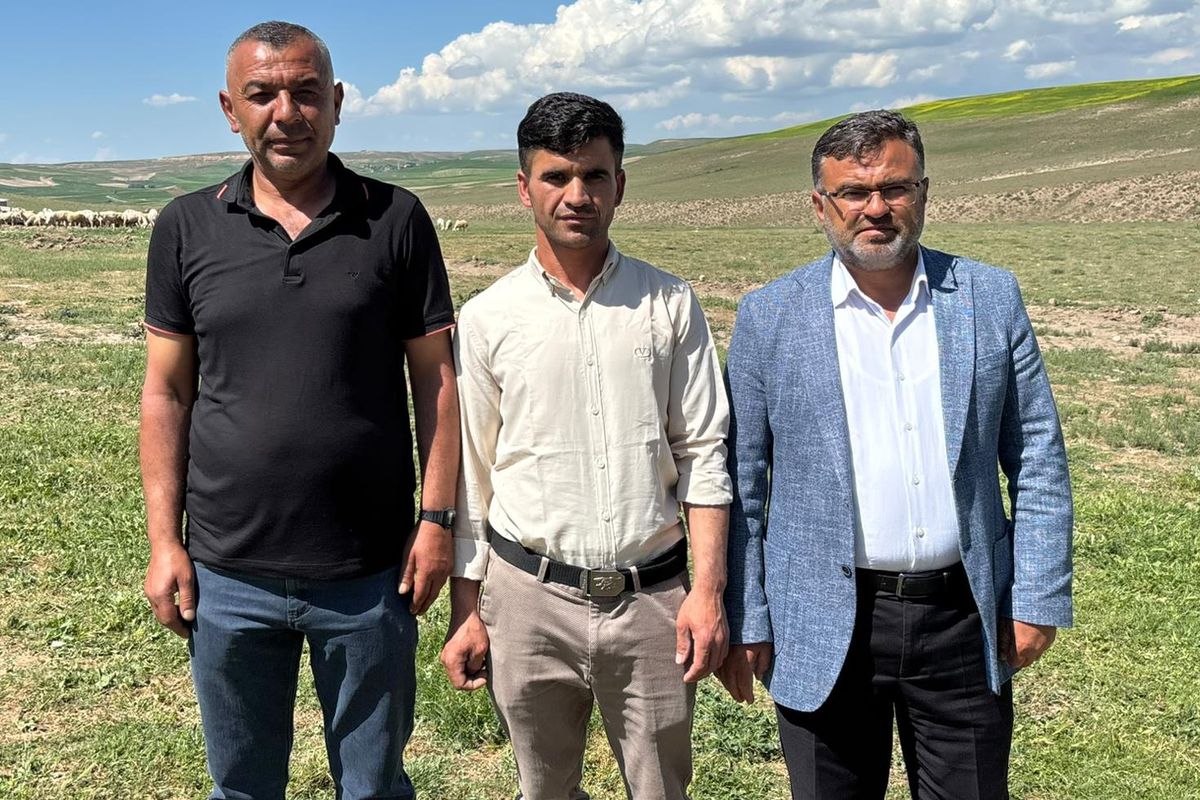 Yerliden umudu kesen besiciler çoban krizine "İthal" çözüm buldu