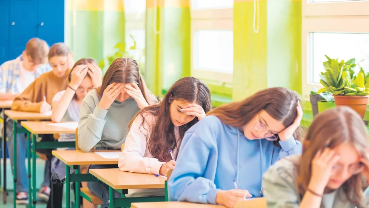 İŞKUR DABİS sistemi açıldı: LGS ve YKS tercihleri için rehber