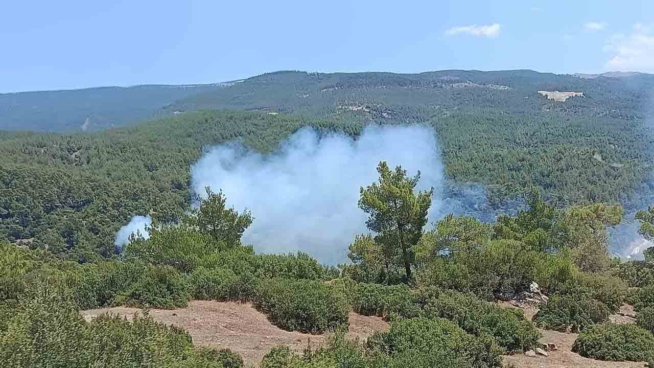 Çine'deki yangından iyi haber