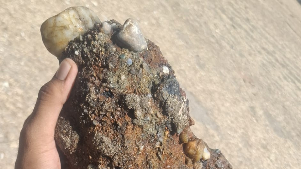 Çanakkale'de sahilde patlamamış askeri mühimmat bulundu