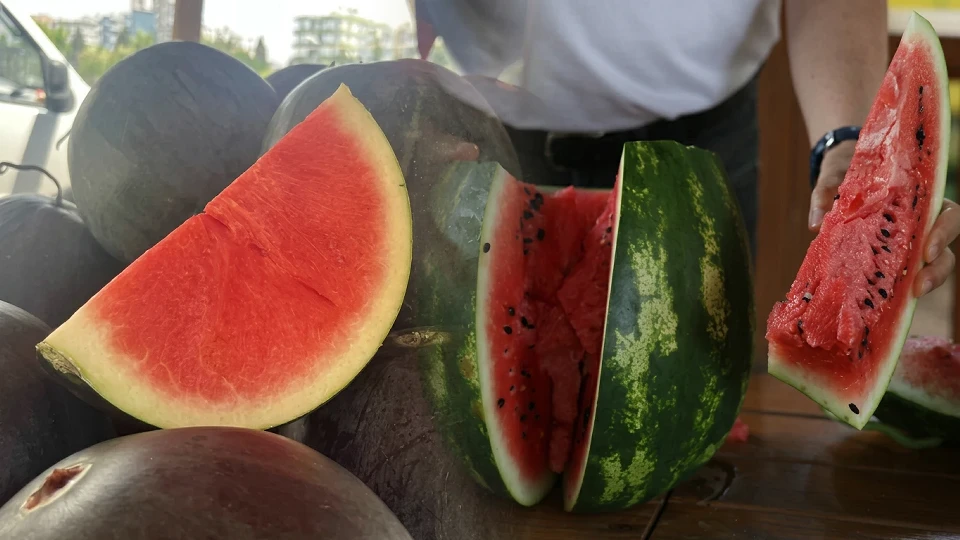 Tezgahlarda kelek karpuz tuzağına son: Meğer işin sırrı sapında ve renginde saklıymış! "Vurunca tok ses geliyor" diyenler yanıldı! Uzmanından ezber bozan karpuz tavsiyesi | YAŞAM HABERLERİ