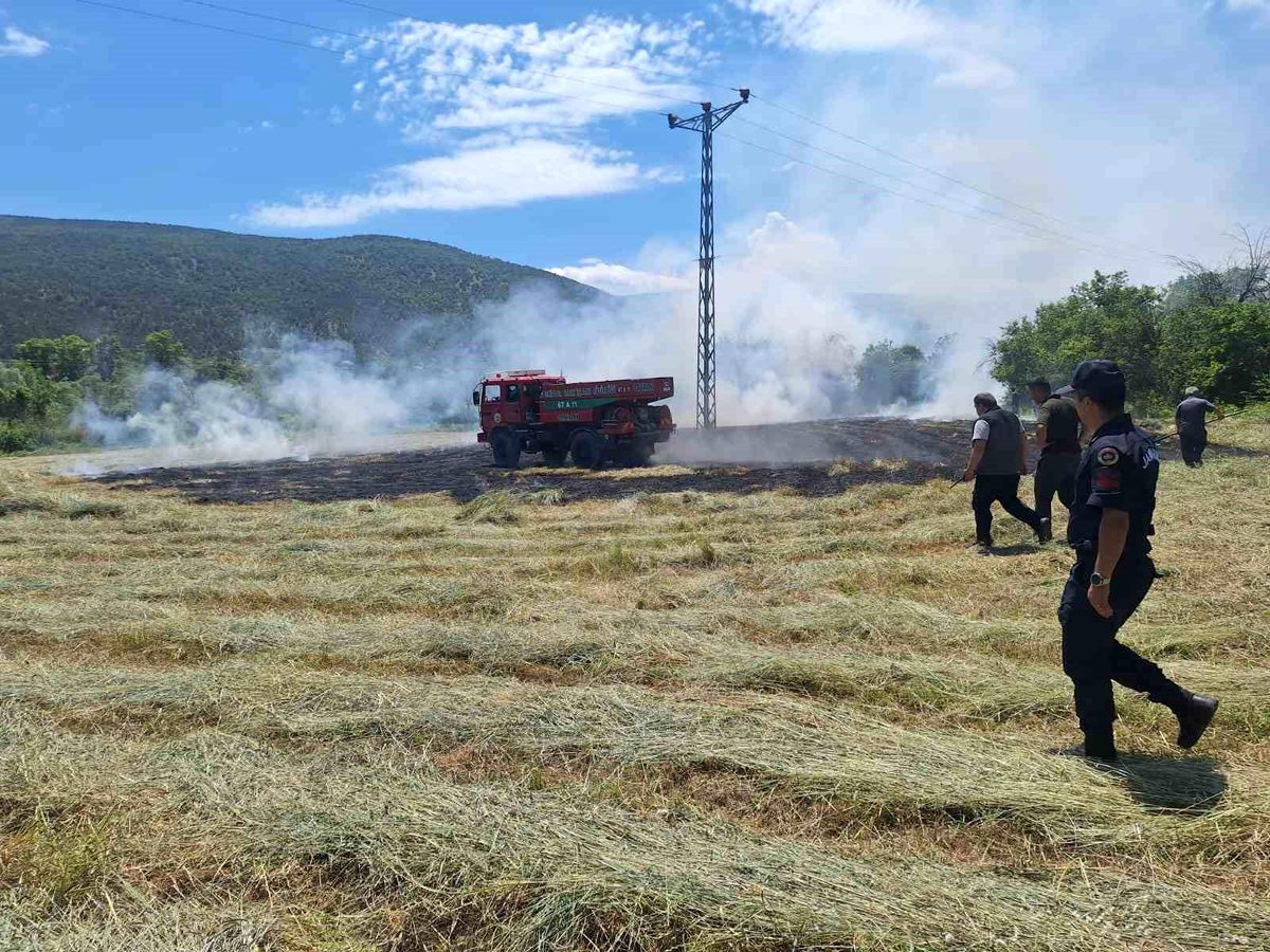Anız yangını ormana sıçramadan söndürüldü