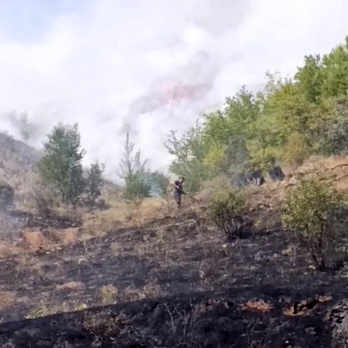 Çankırı'da çıkan arazi yangını söndürüldü