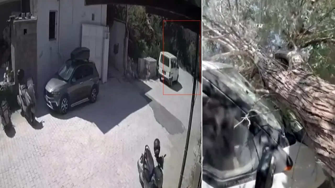 Evin avlusundaki ağaç kamyonetin üzerine devrildi