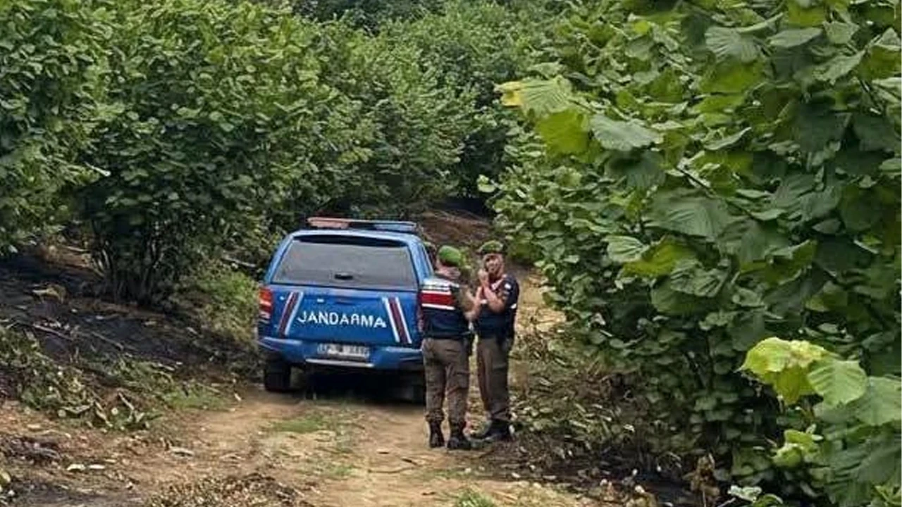 Samsun'un da 67 yaşındaki kişi fındık bahçesinde yanmış halde ölü bulundu