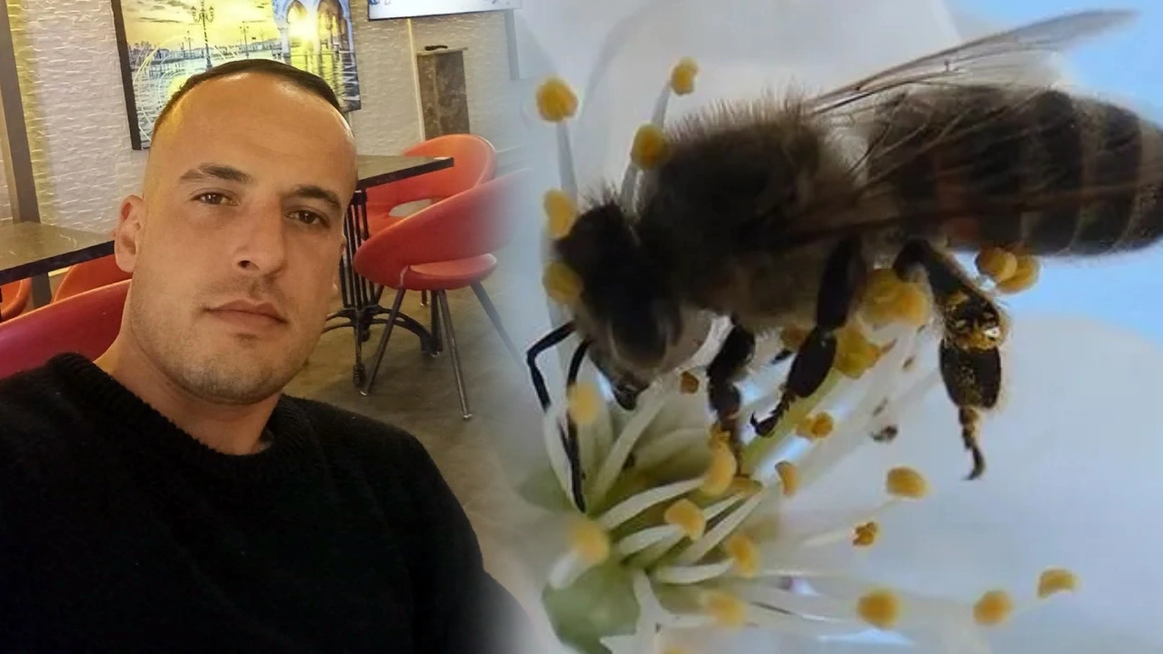 Arının şah damarından soktuğu genç esnaf öldü! Bu belirtilere sakın göz uummayın