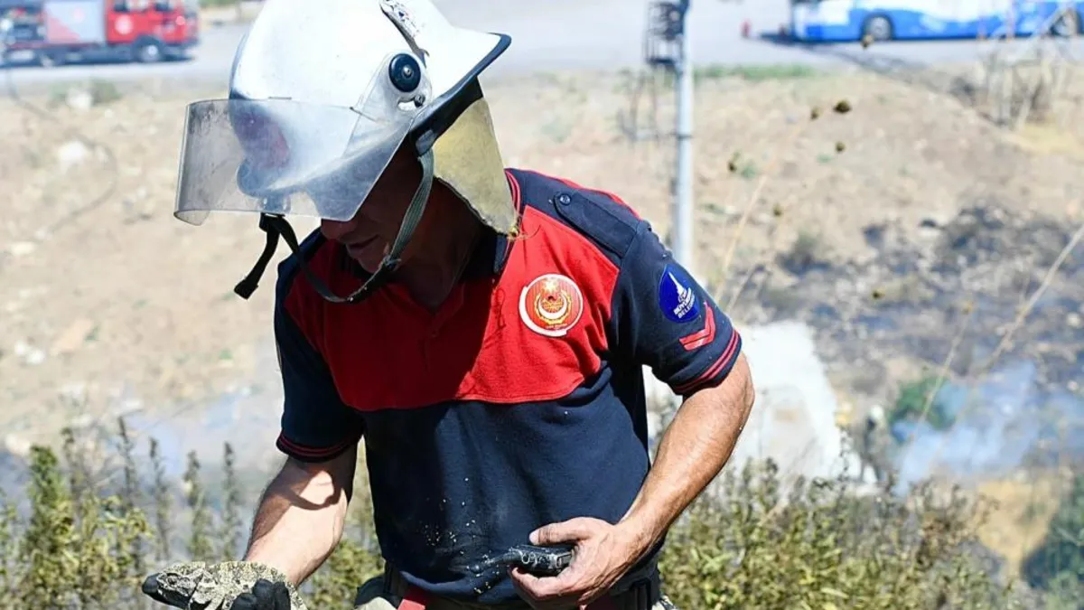 İzmir'deki yangında yürekleri ısıtan görüntü: Dumandan etkilenen bukalemunu hayata döndürdü
