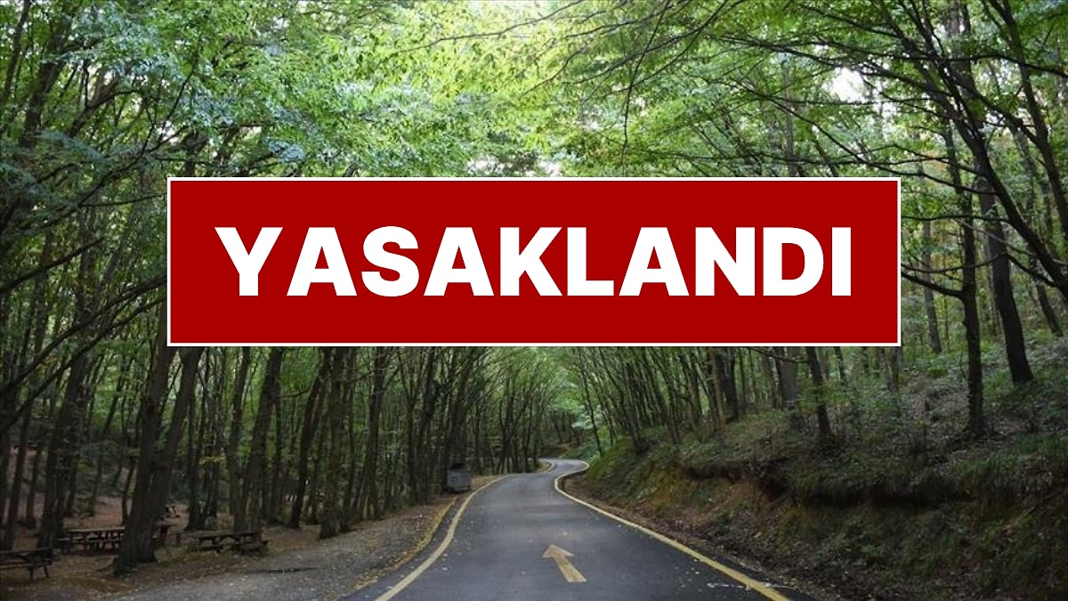 Valilik Duyurdu: İstanbul’da Ormanlara Giriş Yasaklandı