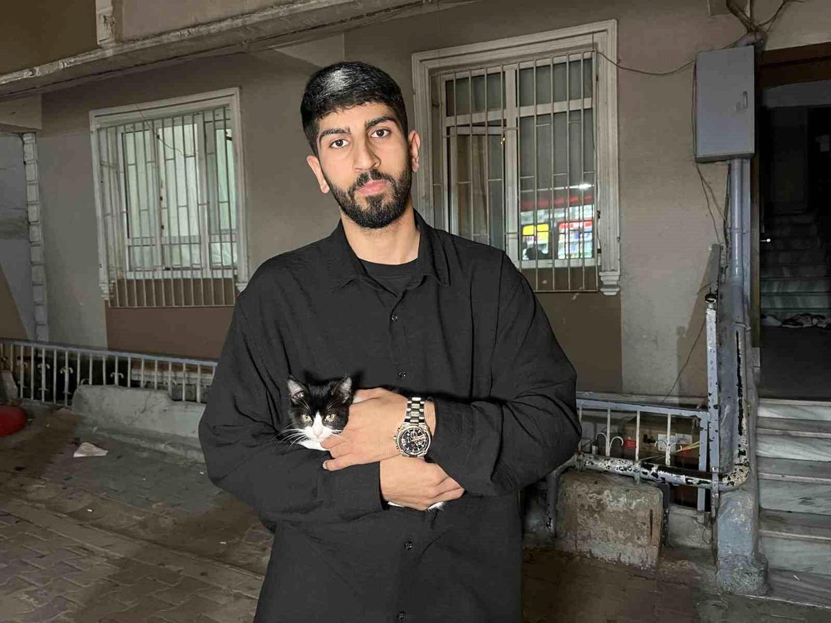 Küçükçekmece'de 7'inci kattan düşen kedi şemsiye ile kurtarıldı