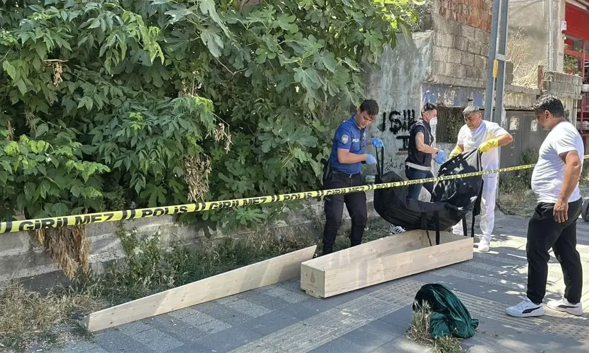 Kaybolan kedisini aramaya çıktı! Cesetle karşılaştı