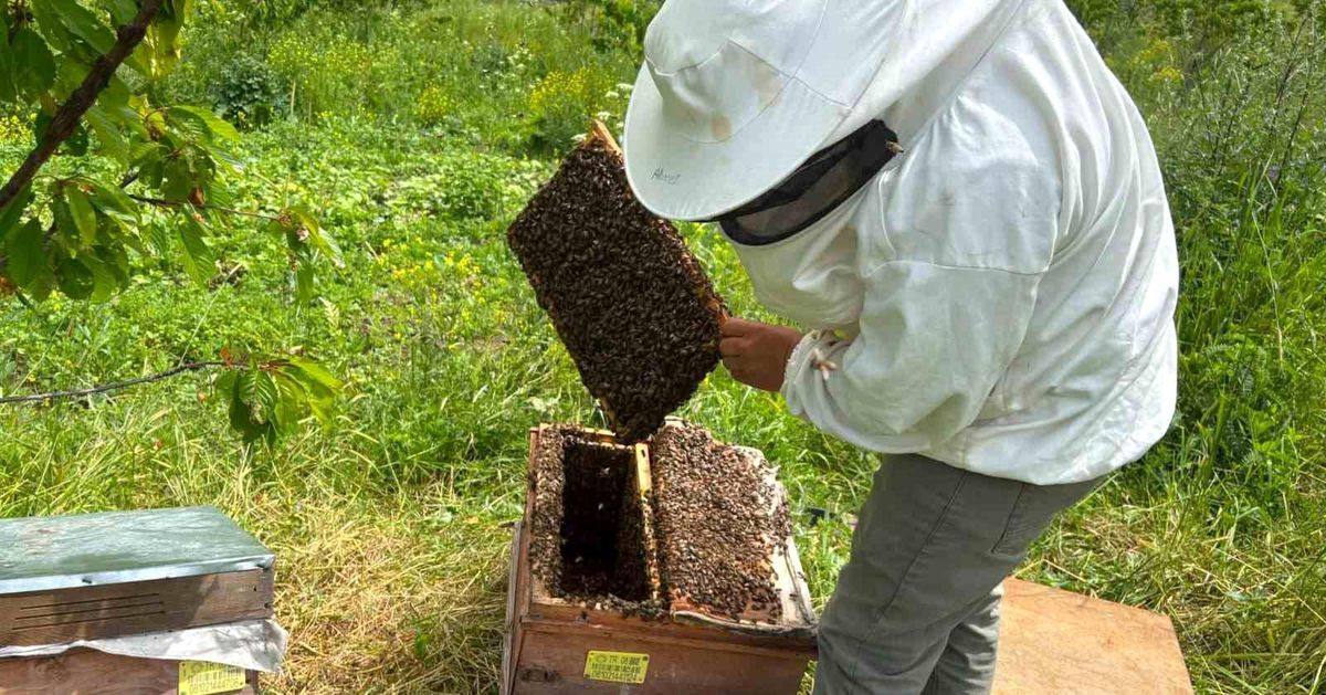Artvin'de bal hasat sezonu öncesi üreticilerle buluşma